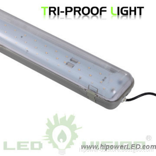IP65 1.2M 25W led tri-proof lamp,3 Year Warranty